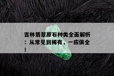 吉林翡翠原石种类全面解析：从常见到稀有，一应俱全！