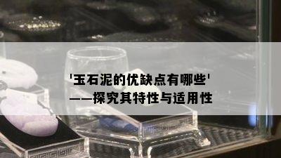 '玉石泥的优缺点有哪些'——探究其特性与适用性