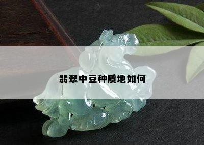 翡翠中豆种质地如何