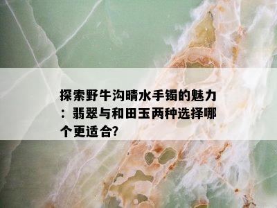 探索野牛沟晴水手镯的魅力：翡翠与和田玉两种选择哪个更适合？