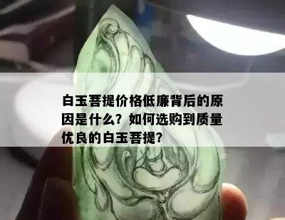 白玉菩提价格低廉背后的原因是什么？如何选购到质量优良的白玉菩提？