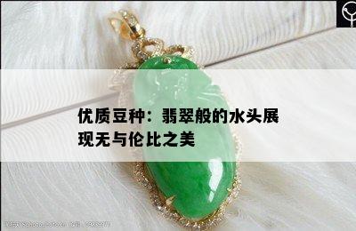 优质豆种：翡翠般的水头展现无与伦比之美