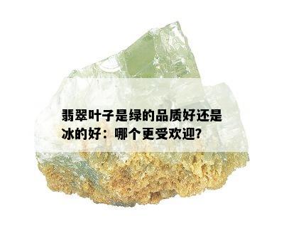 翡翠叶子是绿的品质好还是冰的好：哪个更受欢迎？