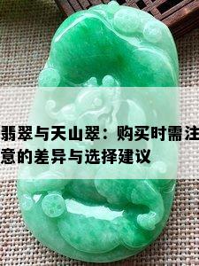 翡翠与天山翠：购买时需注意的差异与选择建议