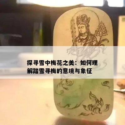 探寻雪中梅花之美：如何理解踏雪寻梅的意境与象征