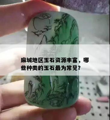 麻城地区玉石资源丰富，哪些种类的玉石最为常见？