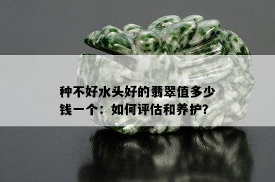 种不好水头好的翡翠值多少钱一个：如何评估和养护？