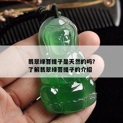 翡翠绿菩提子是天然的吗？了解翡翠绿菩提子的介绍