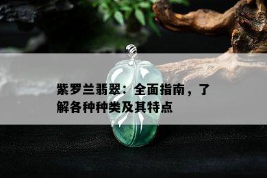 紫罗兰翡翠：全面指南，了解各种种类及其特点