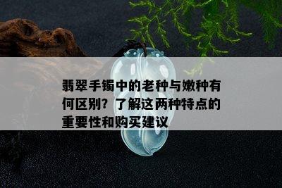 翡翠手镯中的老种与嫩种有何区别？了解这两种特点的重要性和购买建议