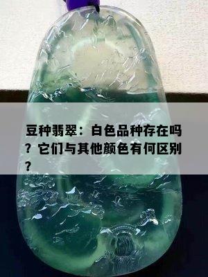 豆种翡翠：白色品种存在吗？它们与其他颜色有何区别？