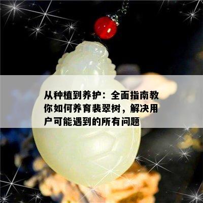 从种植到养护：全面指南教你如何养育裴翠树，解决用户可能遇到的所有问题