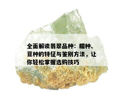 全面解读翡翠品种：糯种、豆种的特征与鉴别方法，让你轻松掌握选购技巧