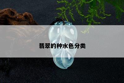 翡翠的种水色分类