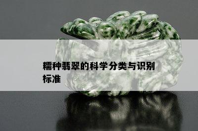 糯种翡翠的科学分类与识别标准