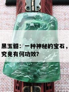 黑玉髓：一种神秘的宝石，究竟有何功效？