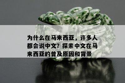 为什么在马来西亚，许多人都会说中文？探索中文在马来西亚的普及原因和背景