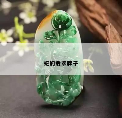 蛇的翡翠牌子