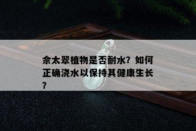 佘太翠植物是否耐水？如何正确浇水以保持其健康生长？