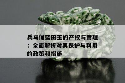 兵马俑蓝田玉的产权与管理：全面解析对其保护与利用的政策和措施