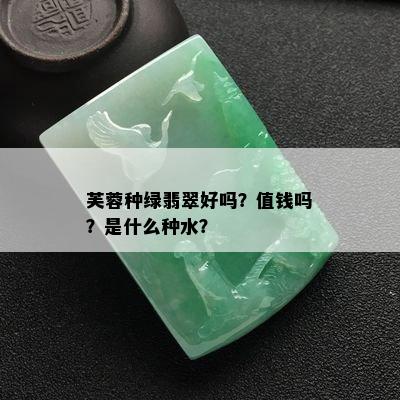 芙蓉种绿翡翠好吗？值钱吗？是什么种水？