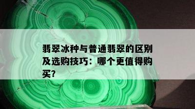 翡翠冰种与普通翡翠的区别及选购技巧：哪个更值得购买？