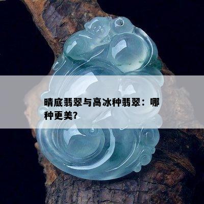 晴底翡翠与高冰种翡翠：哪种更美？