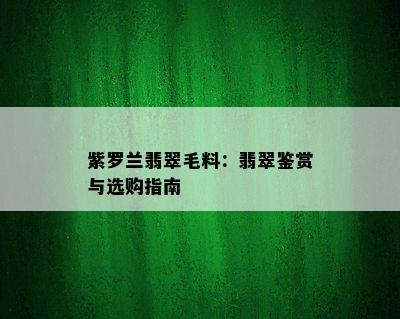 紫罗兰翡翠毛料：翡翠鉴赏与选购指南