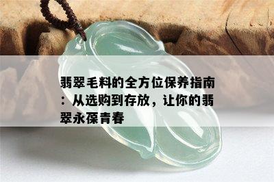 翡翠毛料的全方位保养指南：从选购到存放，让你的翡翠永葆青春