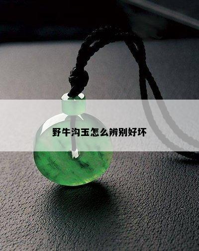 野牛沟玉怎么辨别好坏