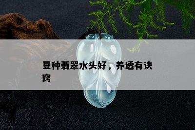 豆种翡翠水头好，养透有诀窍