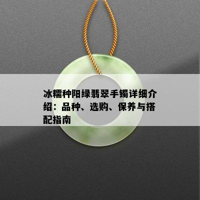 冰糯种阳绿翡翠手镯详细介绍：品种、选购、保养与搭配指南