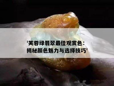 '芙蓉绿翡翠更佳观赏色：揭秘颜色魅力与选择技巧'