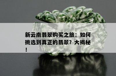 新云南翡翠购买之旅：如何挑选到真正的翡翠？大揭秘！