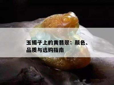 玉镯子上的黄翡翠：颜色、品质与选购指南