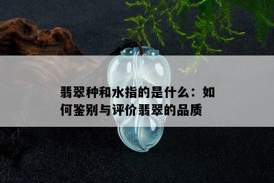 翡翠种和水指的是什么：如何鉴别与评价翡翠的品质