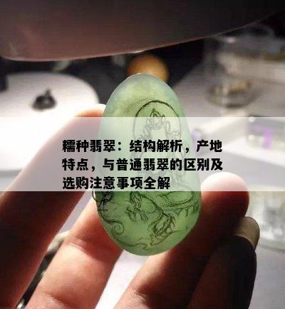 糯种翡翠：结构解析，产地特点，与普通翡翠的区别及选购注意事项全解