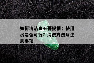 如何清洁白玉菩提根：使用水是否可行？清洗方法及注意事项