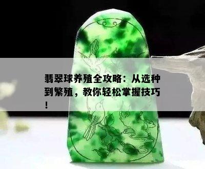 翡翠球养殖全攻略：从选种到繁殖，教你轻松掌握技巧！