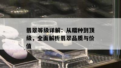 翡翠等级详解：从糯种到顶级，全面解析翡翠品质与价值