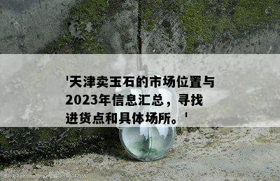 '天津卖玉石的市场位置与2023年信息汇总，寻找进货点和具体场所。'