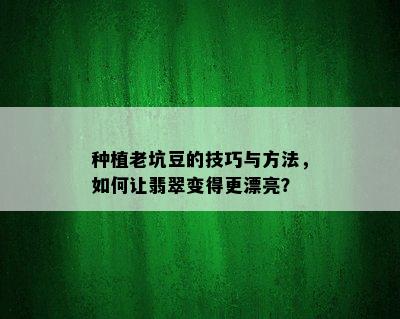 种植老坑豆的技巧与方法，如何让翡翠变得更漂亮？