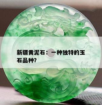 新疆黄泥石：一种独特的玉石品种？