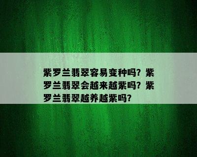 紫罗兰翡翠容易变种吗？紫罗兰翡翠会越来越紫吗？紫罗兰翡翠越养越紫吗？