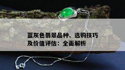 蓝灰色翡翠品种、选购技巧及价值评估：全面解析