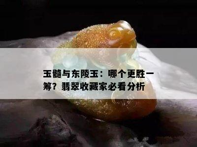 玉髓与东陵玉：哪个更胜一筹？翡翠收藏家必看分析