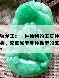 独龙玉：一种独特的玉石种类，究竟属于哪种类型的玉？