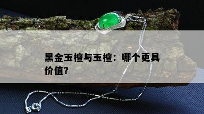 黑金玉檀与玉檀：哪个更具价值？