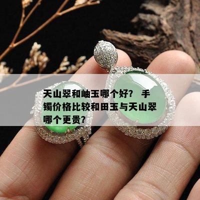 天山翠和岫玉哪个好？ 手镯价格比较和田玉与天山翠哪个更贵？