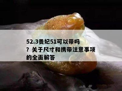 52.3贵妃51可以带吗？关于尺寸和携带注意事项的全面解答